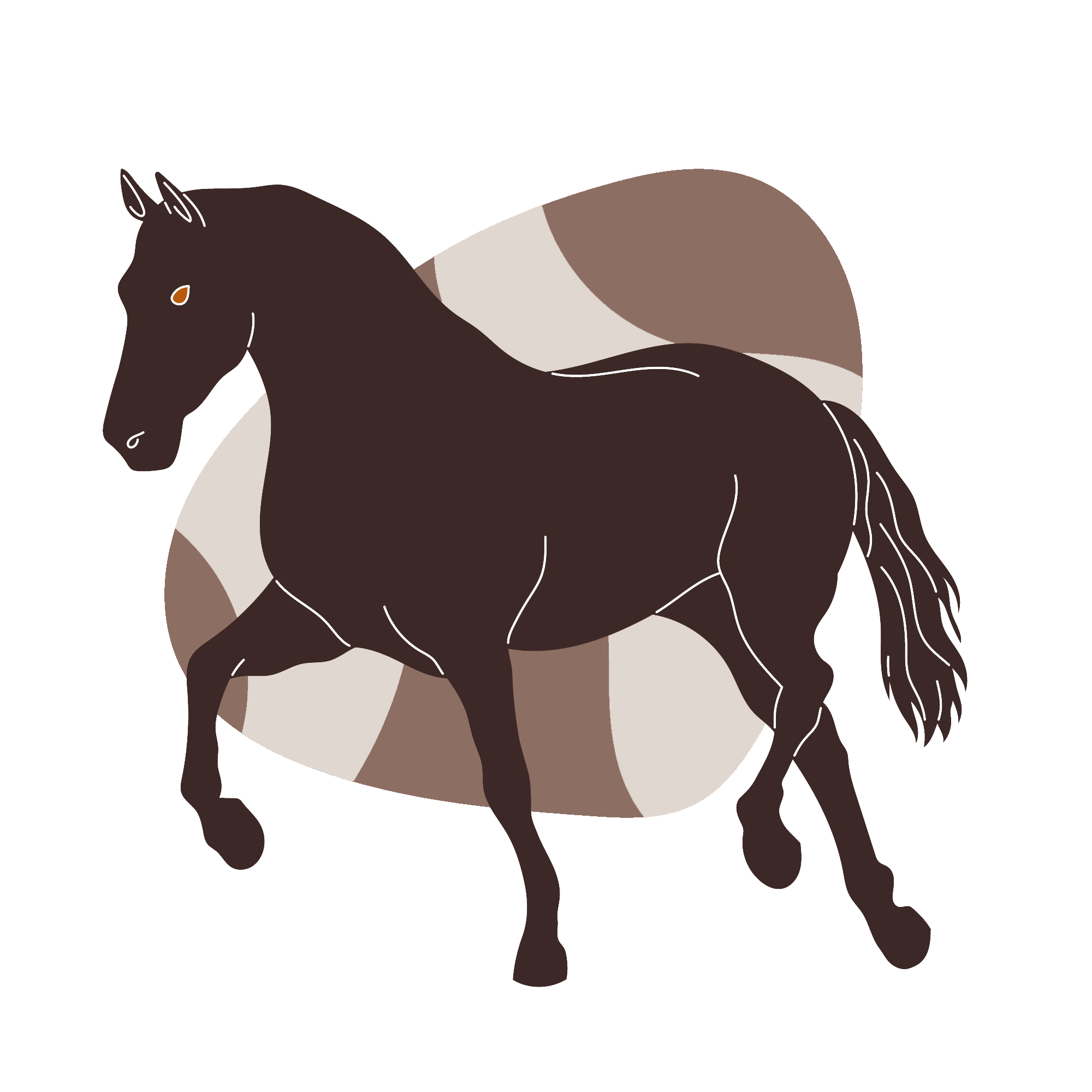 Brendon Kötél - Minőségi lovas felszerelések